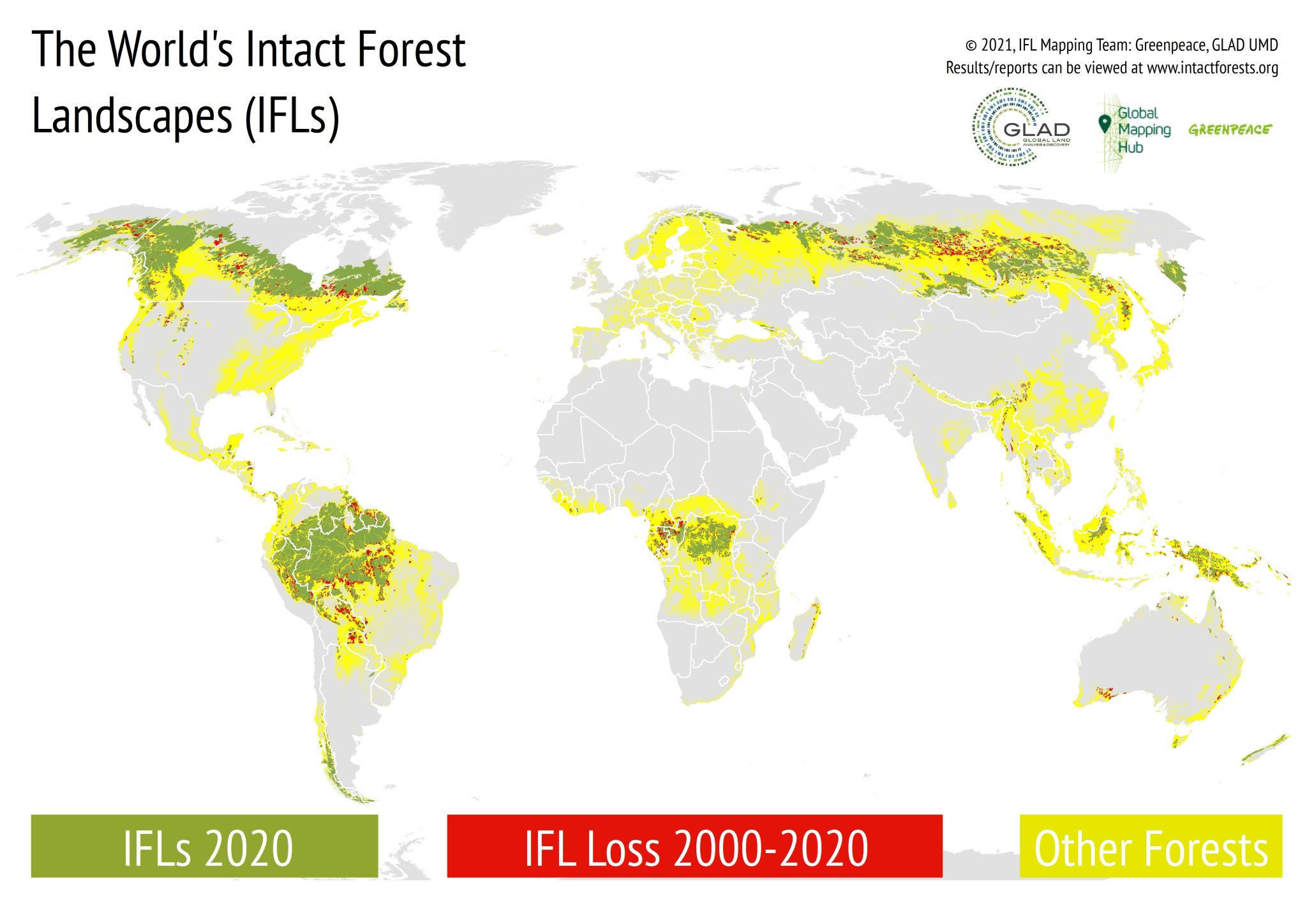 How Many Wild Forests Are Left In The World Global Mapping Hub By   IFL 2020 Infographic  Projection En 2048x1448 