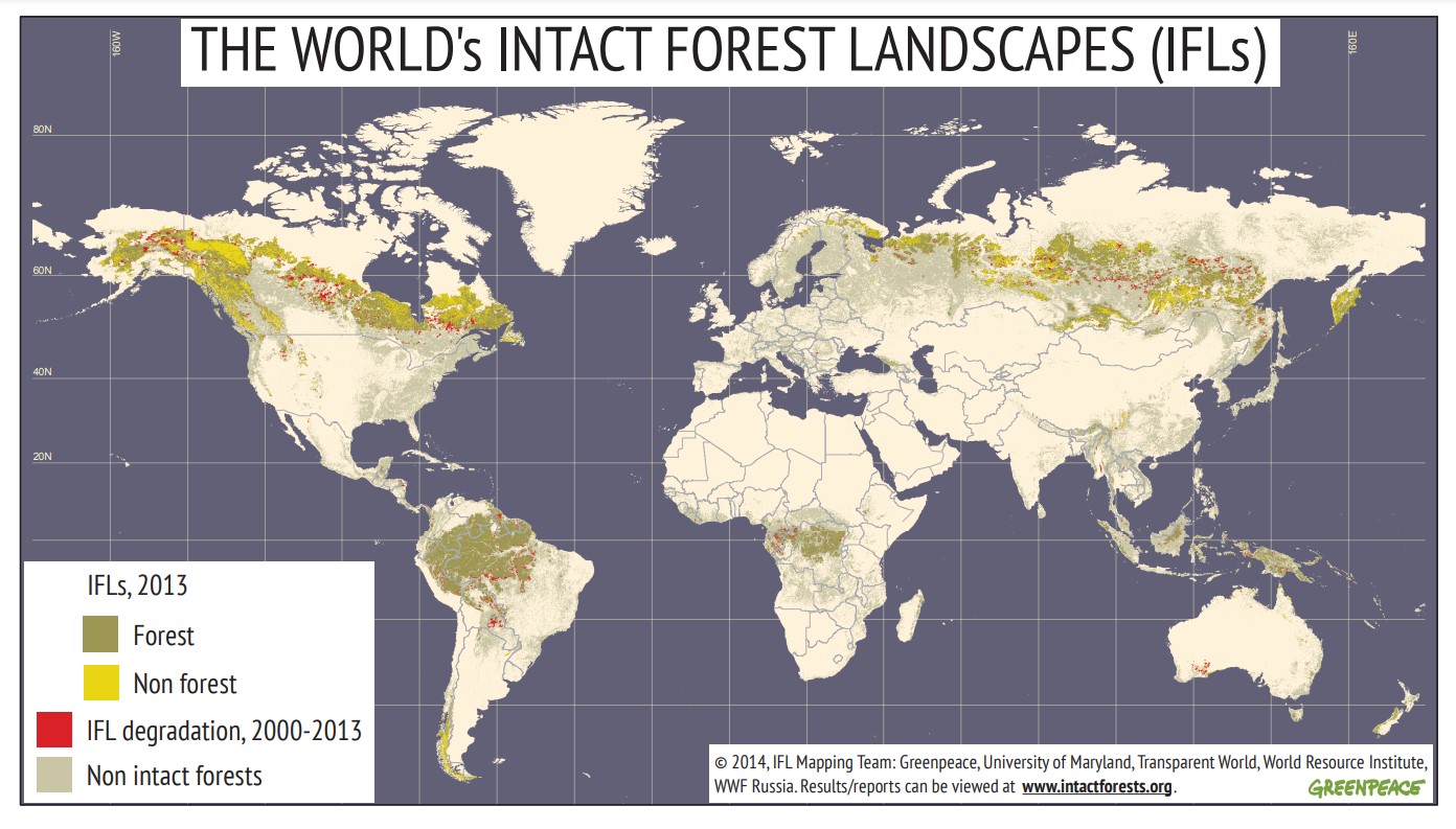 Intact forest landscapes – Global Mapping Hub by Greenpeace International