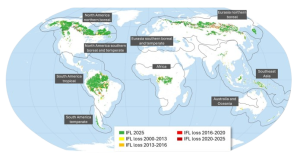 Intact forest landscapes – Global Mapping Hub by Greenpeace International