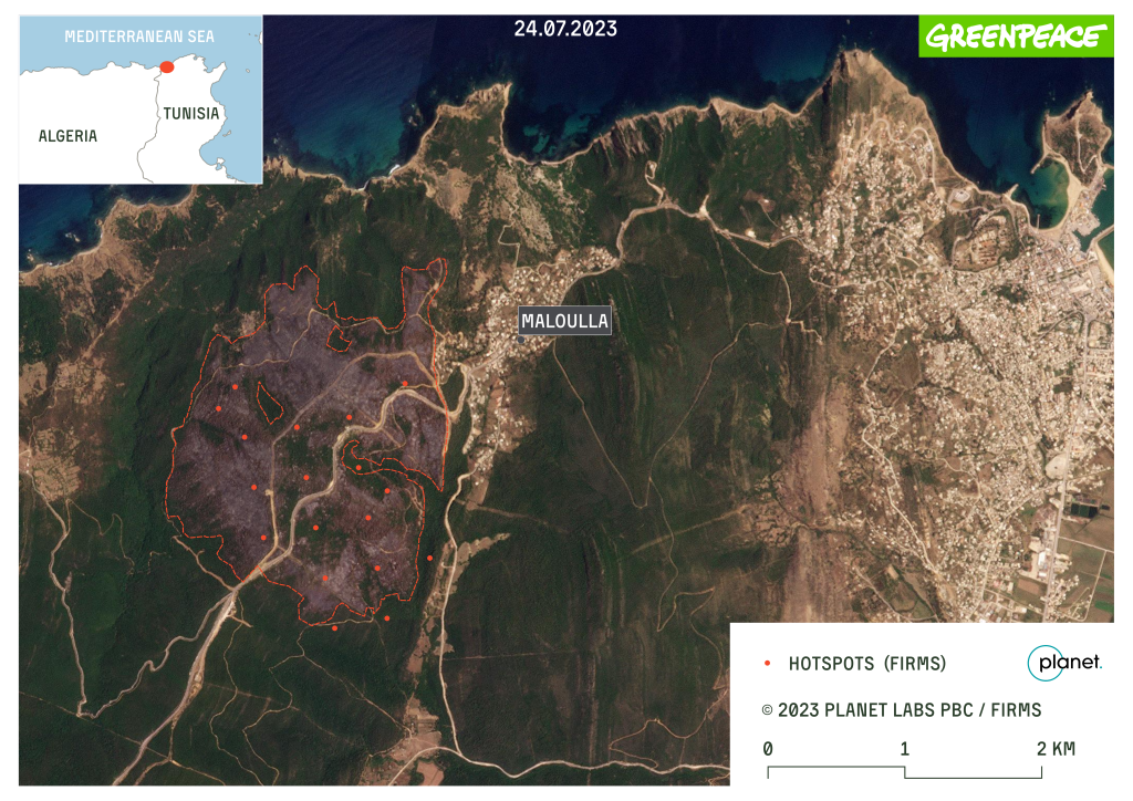 A map of a wildfire in Tunisia near Maloulla village in July 2023