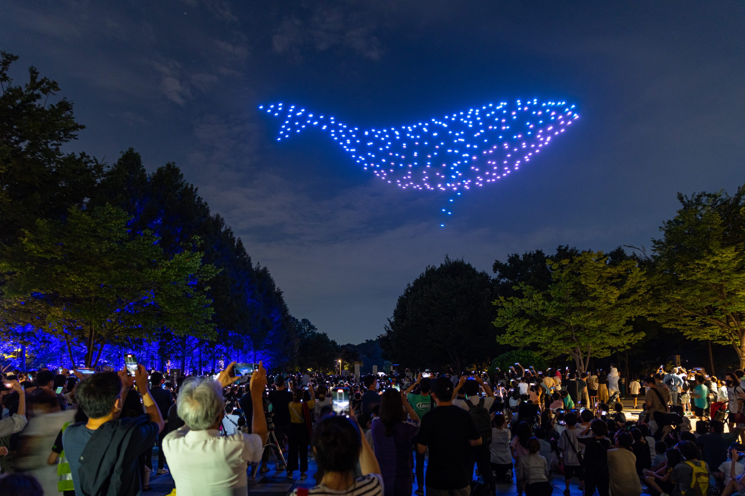 Greenpeace Seoul held an Ocean Drone show on 18th, August at Seoul Forest Park in Korea to engage people and push the global leaders for a strong Global Ocean Treaty at UN BBMK IGC5 in New York from 15th to 26th, August